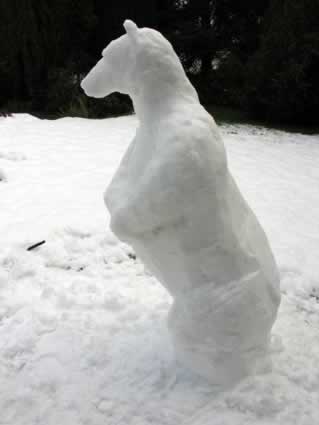 Snow Bear